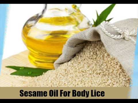 7 Natural Remedies For Body Lice 7 Natural Remedies For Body Lice