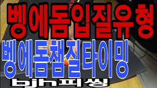 벵에돔낚시/벵에돔입질/벵에돔챔질/벵에돔후킹/예민한벵에돔/제로알파찌