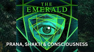 On Prana, Shakti and Consciousness