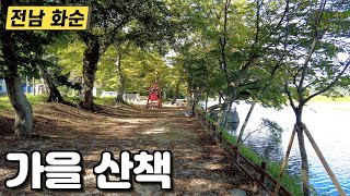 화순 연둔리 숲정이 낙엽길 가을 산책