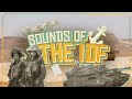 Unity—A Song by the IDF