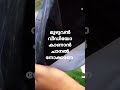 ഗ്രോബാഗിലെ പഴയ മണ്ണ് ഇങ്ങനെ ചെയ്തു നോക്കു terracegardening_tips pscintextbooks_vlogs