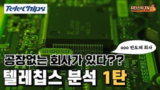 텔레칩스 분석 1탄. 공장없는 회사가 있다??