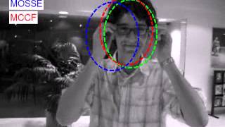david - tracking