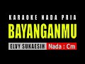 BAYANGANMU - NADA PRIA ( ELVY SUKAESIH )