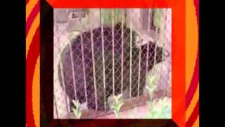 Mxtube.net :: wwwzoo zooporn videos sa X ved 2ahUKEwj3lqebxe ...