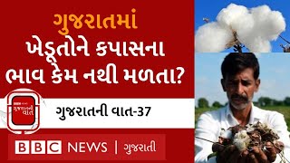 LIVE : ગુજરાતમાં કપાસની ખેતી કરતા ખેડૂતોને ભાવ કેમ નથી મળતા? - Gujarat ni vaat