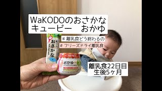 【WaKODO】【キューピー】おさかなとおかゆ離乳食22日目生後5ヶ月食べてみたJapanese babyfood day22 일본이유식day22