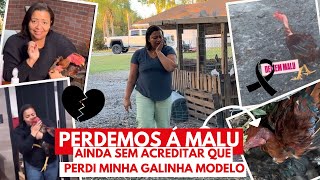 PERDEMOS Á MALU | NÃO ACREDITO QUE ISSO ACONTECEU