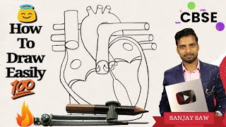 How To Draw Human Heart With Compass Step by step for beginners !