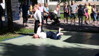 Tampereen Aikidoseura Nozomi @ Hämeenpuiston Puistofiesta 2015