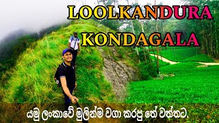 මීදුම් පාරාදීසය කොන්ඩගල, ලූල්කදුර තේ වත්ත - loolkandura,loolecondera tea state,James taylor's sheet