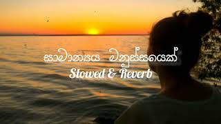 සාමාන්‍ය මනුස්සයෙක් - Song Slowed \u0026 Reverb   #slowedandreverb #samanyamanussayek #music