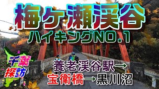 【千葉探訪】梅ケ瀬渓谷ハイキングNO.1　\