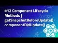 #12 getSnapShotBeforeUpdate in React | componentDidUpdate | Component Lifecycle | React Tutorial