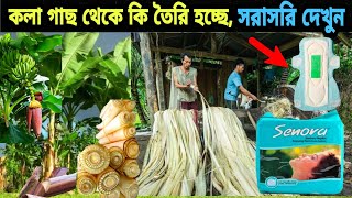 দেখুন কলা গাছ থেকে কি তৈরি হচ্ছে যা দেখে চমকে যাবেন আপনিও।  Banana Trees Fiber Exiting Factory