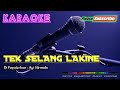 TEK SELANG LAKINE -Ayi Nirmala- KARAOKE