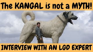 The KANGAL Dog - is not a MYTH!  Interview with an LGD expert!  DogCastTV!