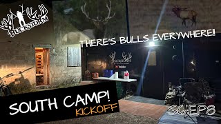 BULLS EVERYWHERE at SOUTH CAMP! S6:EP8