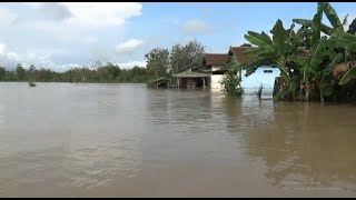TULUNGAGUNG - Banjir Merendam Pemukiman Warga dan Lumpuhkan Akses Jalan di Tulungagung