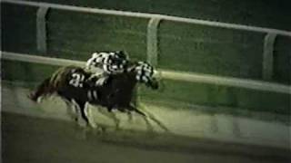 SECRETARIAT - 1973 Belmont Stakes (Alternate Footage)