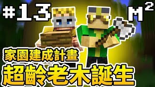 【MIME】超齡老木誕生！家園建成計畫展開 | Minecraft : 兩人純生存₃ #13