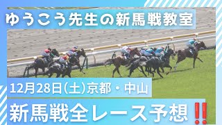 【12月27日(土)新馬戦予想】全会場の新馬戦の推奨馬を紹介します！！