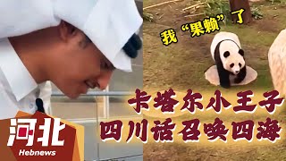 【趣味搞笑】太可爱了！卡塔尔小王子用四川话召唤大熊猫“四海”！#搞笑 #趣味 #有趣