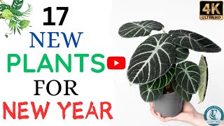 17 New Plants to Bring Fresh Vibes in 2025! 🌱 | New Plants for New Year.