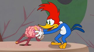 ¡Woody vs su cerebro! | El Pájaro Loco