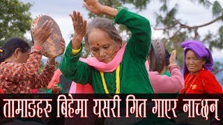 Tamang Wedding Song | तामाङको बिहेमा यसरी गित गाउने चलन छ । तामाङ ताम्बा गित