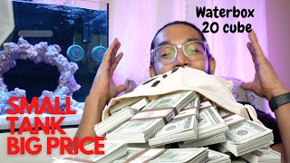 Waterbox 20 cube COST to setup #saltwateraquarium #reeftank #fishtank