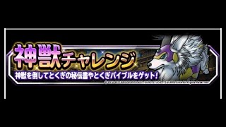 スペーディオIN 神獣チャレンジ5 【DQMSL】