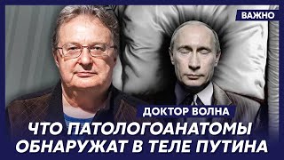 Мировое светило из РФ Волна о том, кто смертельно напугал Кадырова