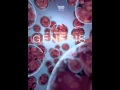 Revolution Genesis - Eon (NO CHOIR)