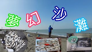 【胖咪】fishing 114： 夢幻沙灘 一堆魚／帕頭ㄚ 三線春 花身雞魚 沙梭 黑鯛 灘釣者最愛的地方／ 今天拉魚到手痠痛／ Kiss沙梭團隊2／27在蚊港!!