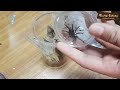 타란튤라 기본종 입문종 에 대한 개인적인 견해 let me talk about beginner species.