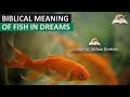 Biblical Meaning of FISH in Dream - Mark 1:17 Prophetic Meaning of Fish