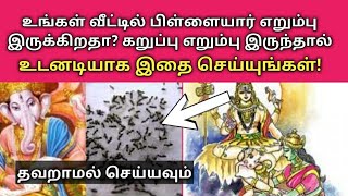 உங்கள் வீட்டில் கருப்பு எறும்பு இருக்கிறதா?|Do you have a black ant in your house?