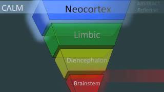 SevenSlideSeries: State-dependent Functioning