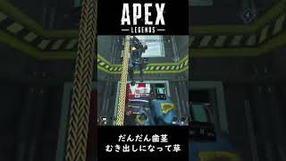 じわじわと調子に乗る男【ApexLegends】#Shorts