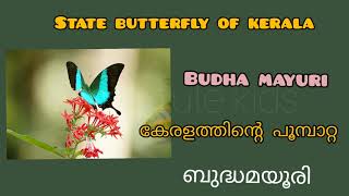 Know about kerala/ കേരളത്തെ പറ്റി പഠിക്കാം/both English and Malayalam