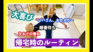 パパさん帰宅で大喜び！？帰宅時の儀式で口が〇〇〇！？