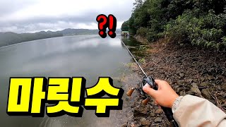 배스낚시 채비 프리리그로 올인!!! 이정도면 낚시 초보자가 와도 마릿수 가능하겠네... / bass fishing