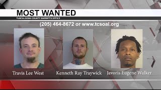 Tuscaloosa's Most Wanted: Feb. 3, 2021