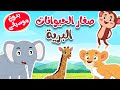 أغنية أين أبي  - الحيوانات البرية بدون موسيقى