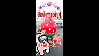 Strawberry picking 🍓いちご狩り#shorts