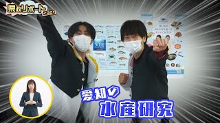 祭nine.の県政リポート2021「愛知の水産研究」