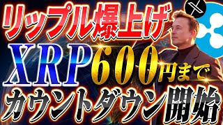【リップル(XRP)】ついにソラナを抜き時価総額4位へ！イーロン関与で年内600円代になるか、急騰した要因とそれ以上に急騰する銘柄とは... 【仮想通貨】【ビットコイン】【フレアai】【SOL】