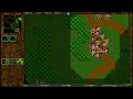 Warcraft 2 Garden of War 1v1 u8t3io3p vs Lone